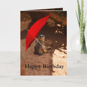 Happy Meerkat Birthday Grußkarte Karte