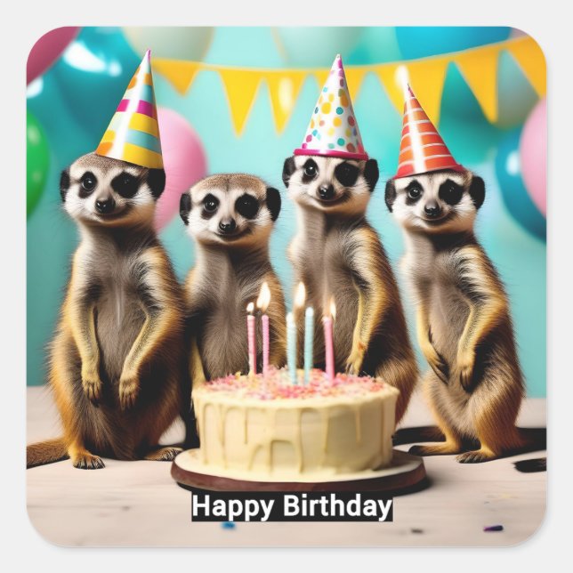 Happy Meerkat Birthday, Quadratischer Aufkleber (Vorderseite)
