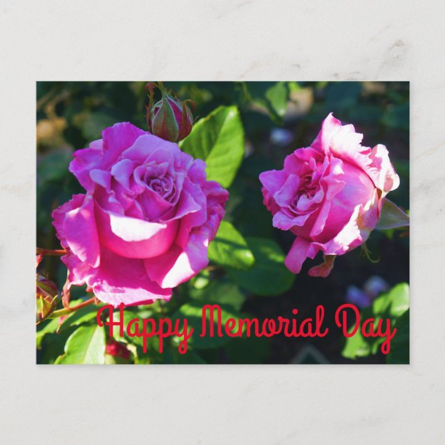 Happy Memorial Day - Gedenktag Rose #1 Postkarte (Vorderseite)