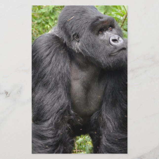 Happy Monkey Briefpapier (Vorderseite)