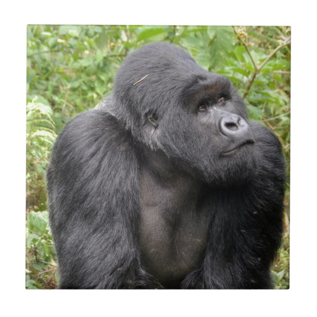 Happy Monkey Fliese (Vorderseite)