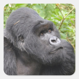 Happy Monkey Quadratischer Aufkleber