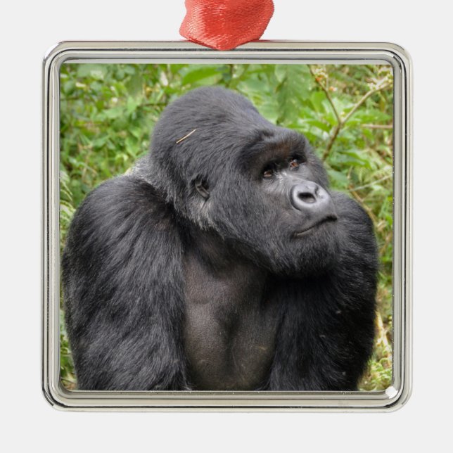 Happy Monkey Silbernes Ornament (Vorne)