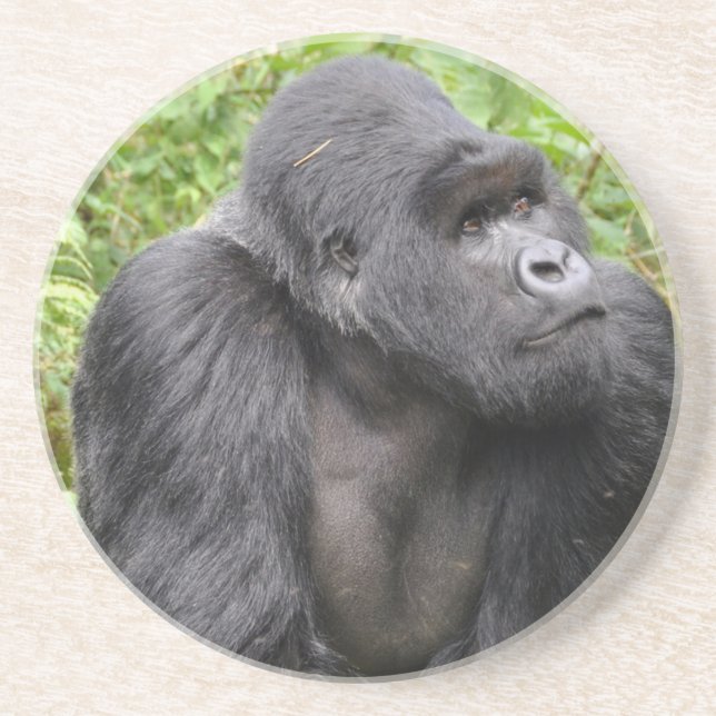 Happy Monkey Untersetzer (Vorne)