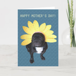 Happy Mother Day French Bulldog Blume Card Karte