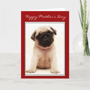 Happy Mother Day Mops Welpengrüßkarte Karte