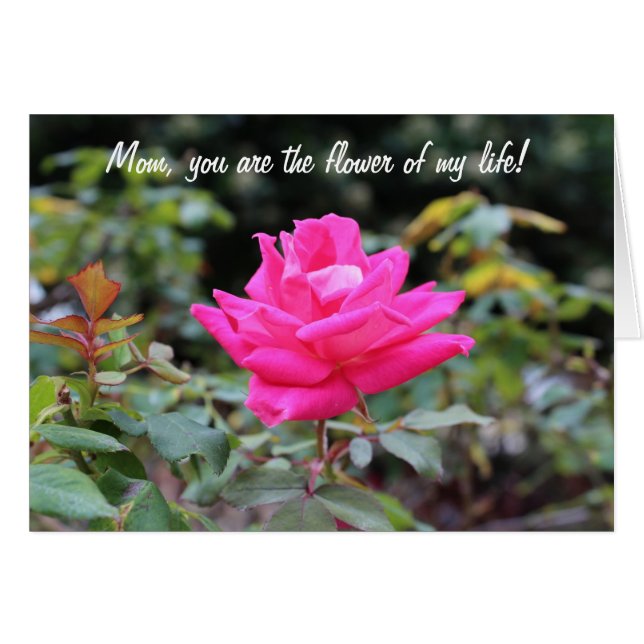 Happy Mother's Day (Vorderseite (Horizontal))