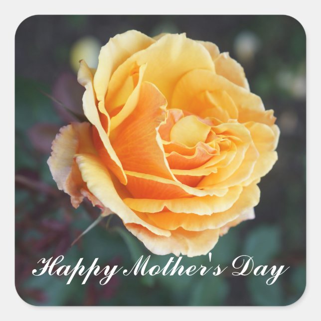 Happy Mother's Day About Face Rose #3 Stickers (Vorderseite)