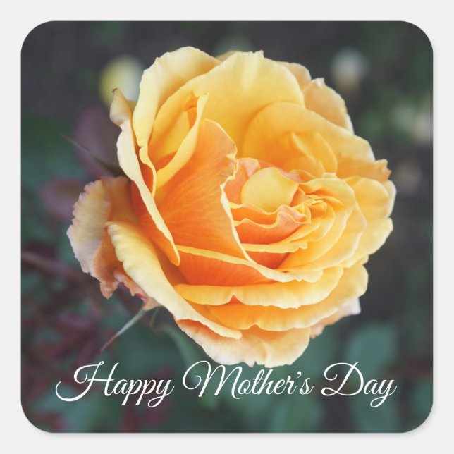 Happy Mother's Day About Face Rose #3 Stickers (Vorderseite)