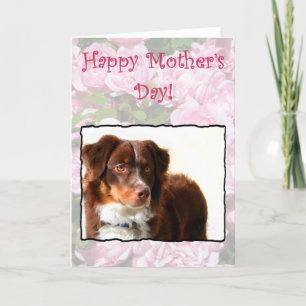 Happy Mother's Day Australian Shepherd card Karte