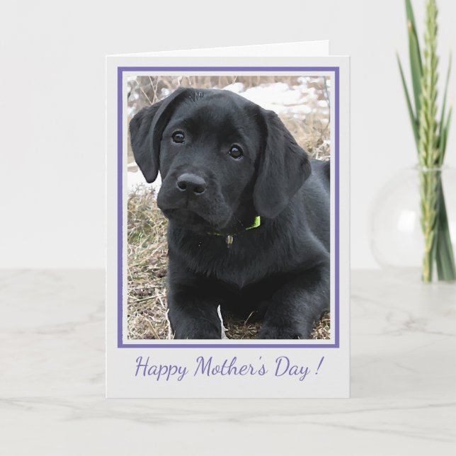 Happy Mother's Day Black Labrador - Niedlicher Wel Dankeskarte (Vorderseite)