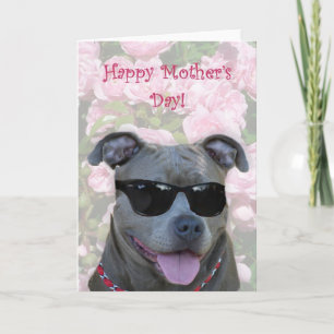 Happy Mother's Day Blue Pillen mit Brille Karte