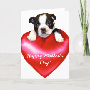 Happy Mother's Day Boston Terrier Card Karte
