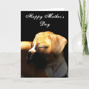 Happy Mother's Day Boxer greeting card Karte
