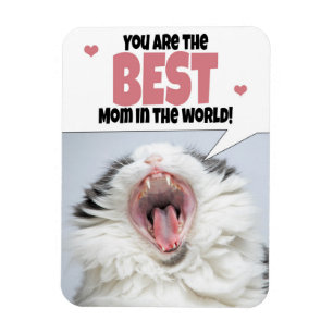 Happy Mother's Day Cat Shouting Spaß Magnet