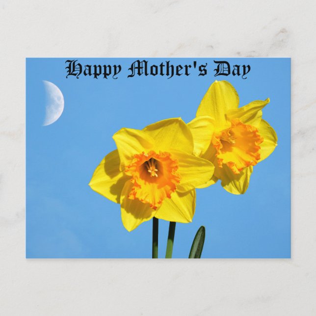 Happy Mother's Day Daffodils Gold Medal Blume Postkarte (Vorderseite)