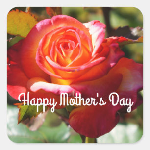 Happy Mother's Day Dream Come True Rose #2 Aufkleb Quadratischer Aufkleber