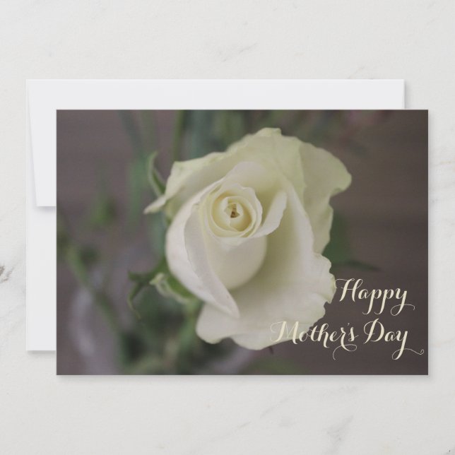 Happy Mother's Day Elegant White Rose Karte (Vorderseite)