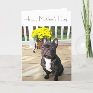Happy Mother's Day French Bulldog mit Blume Card Karte