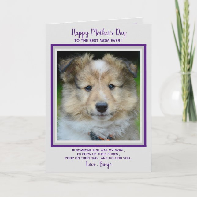 Happy Mother's Day - Funny Niedlich Hund Mama - Fo Dankeskarte (Vorderseite)