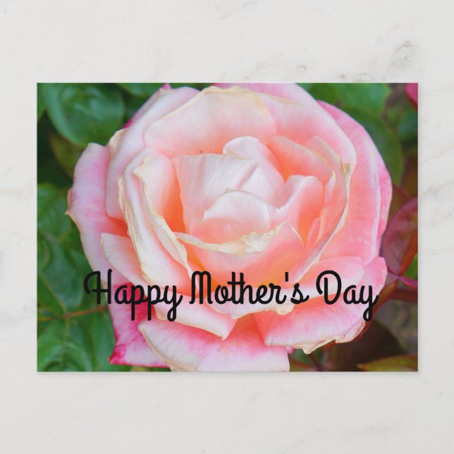 Happy Mother's Day Gemini Rose #1 Postkarte (Vorderseite)