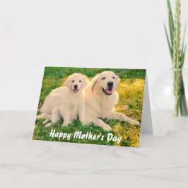 Happy Mother's Day Golden Retriever Hunde Tier Karte