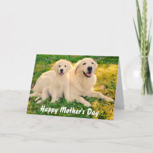 Happy Mother's Day Golden Retriever Hunde Tier Karte