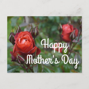 Happy Mother's Day Hot Cocoa Rose #1 Postkarte