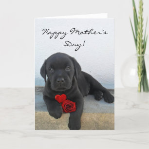 Happy Mother's Day Labrador Welpenkarte Karte
