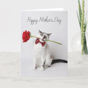 Happy Mother's Day niedliche Katze mit gelben Blum Dankeskarte