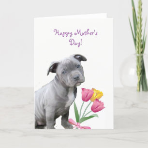 Happy Mother's Day Pitbull Welpenkarte Karte