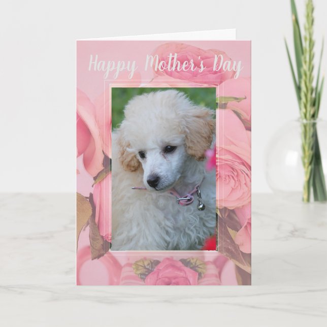 Happy Mother's Day Poodle Welpengrüßkarte Karte (Vorderseite)