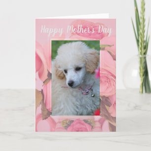 Happy Mother's Day Poodle Welpengrüßkarte Karte