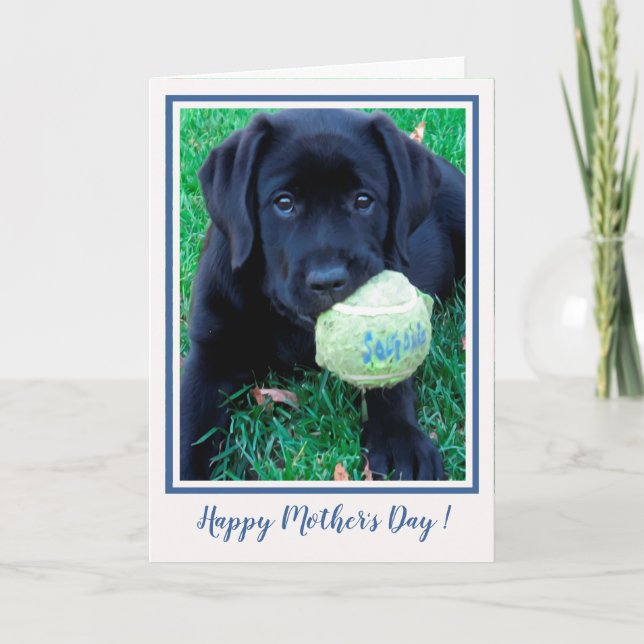 Happy Mother's Day Puppy Black Labrador - Niedlich Karte (Vorderseite)