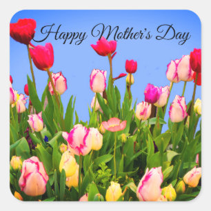 Happy Mother's Day Verschiedene Tulpen #3 Stickers