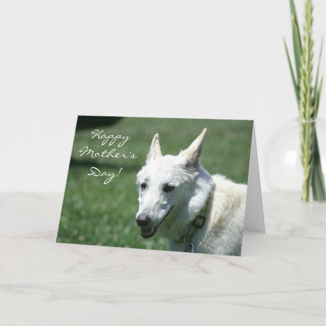 Happy Mother's Day White German Shepherd Card Karte (Vorderseite)