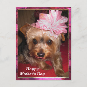Happy Mother's Day Yorkie Postkarte