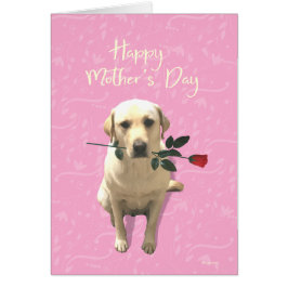 Happy Mthers Day, Labrador Hund Rose, Adorable
