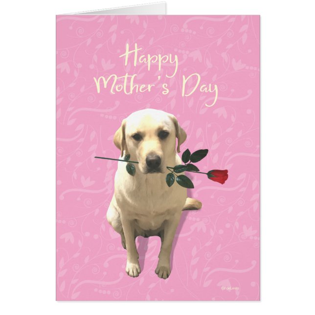 Happy Mthers Day, Labrador Hund Rose, Adorable (Vorne)