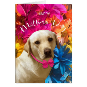 Happy Mthers Day, Labrador, Pet Dog Lover Card