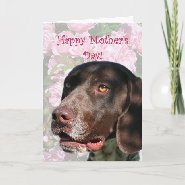 Happy Mutter Tag Deutsch Kurzhaarige Pointer Karte (Vorderseite)