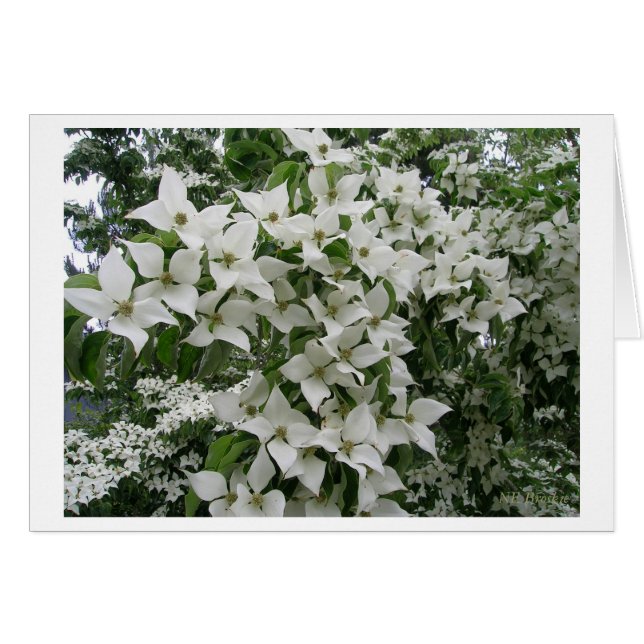 Happy New Life Together (Vorderseite (Horizontal))