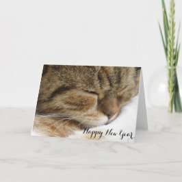 Happy New Year Cat Card Feiertagskarte