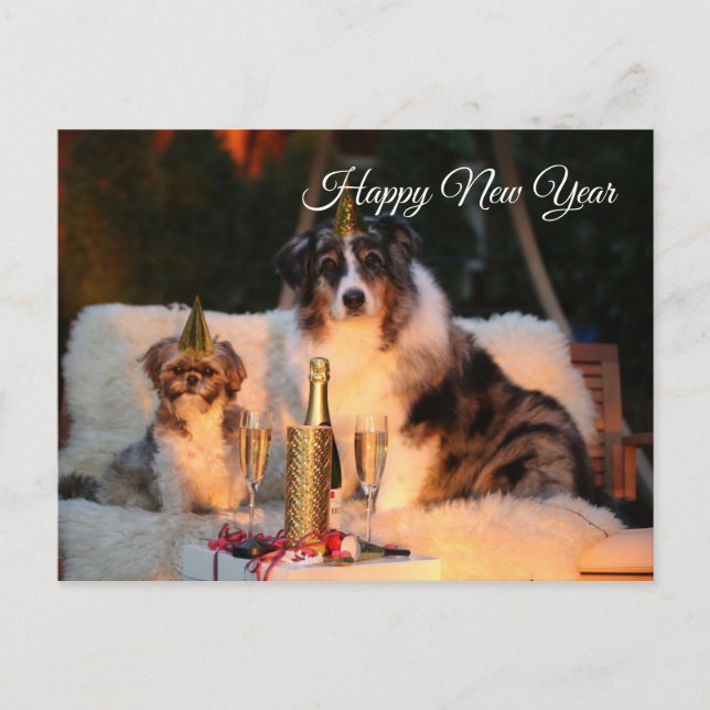 Happy New Year lustige Hunde mit Party Hut Postkarte (Vorderseite)