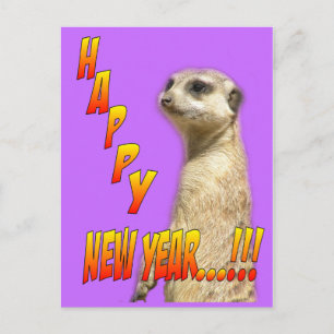 Happy New Year Meerkat Postcard Feiertagspostkarte