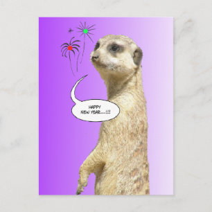 Happy New Year Meerkat Postcard Feuerwerk Lila Feiertagspostkarte