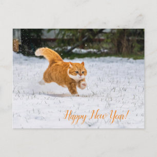Happy New Year PostCard von Niedlicher Ginger Cat Postkarte