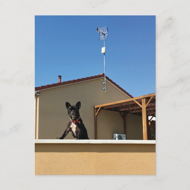 Happy Niedlich French Bulldog Postcard Postkarte (Vorderseite)