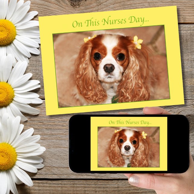 Happy Nurses Day Cavalier King Charles Spaniel Karte (Von Creator hochgeladen)