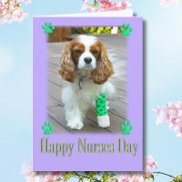 Happy Nurses Day mit Spaniels verbannt Fuß